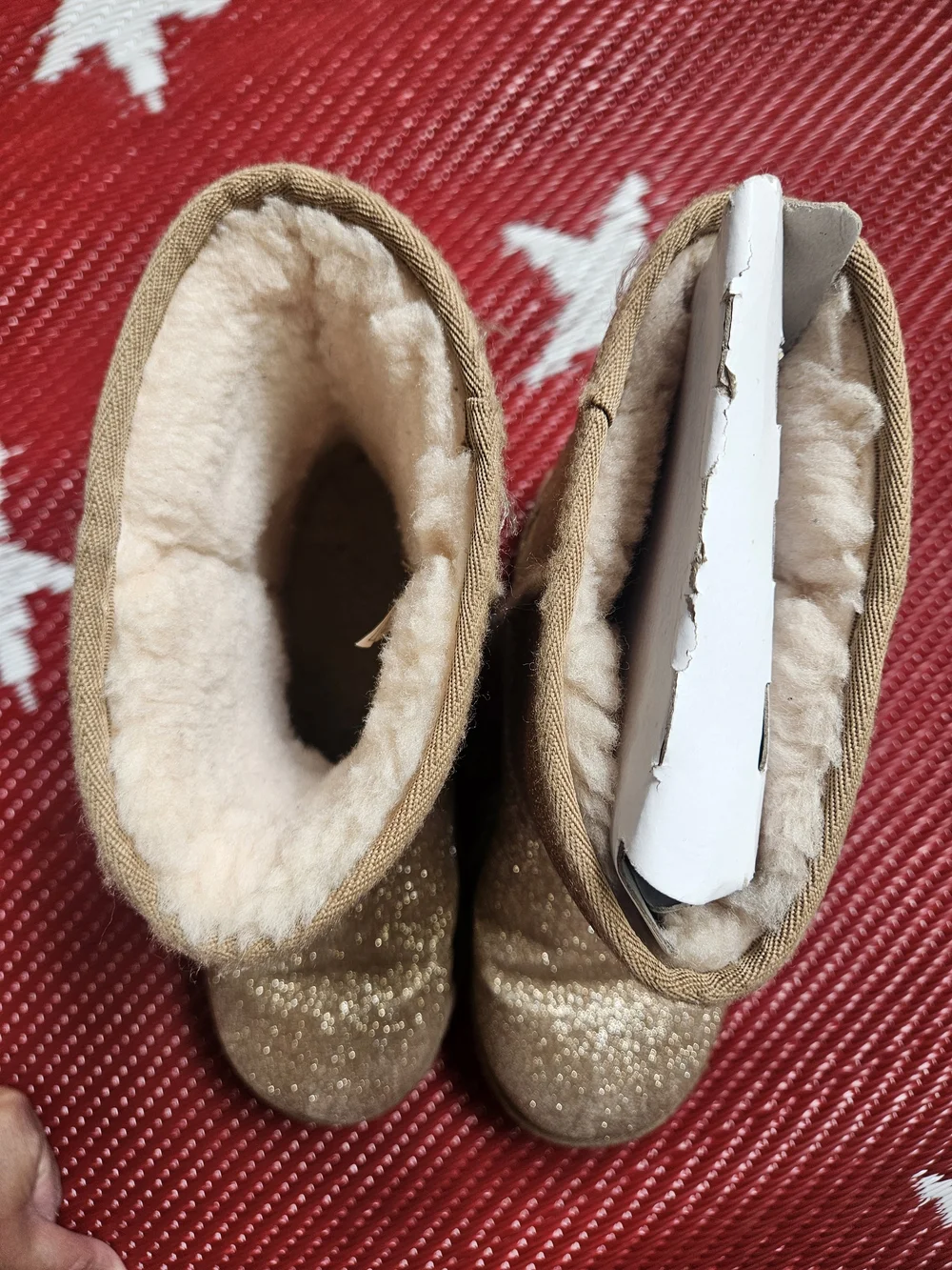 Ugg Sparkly Boots